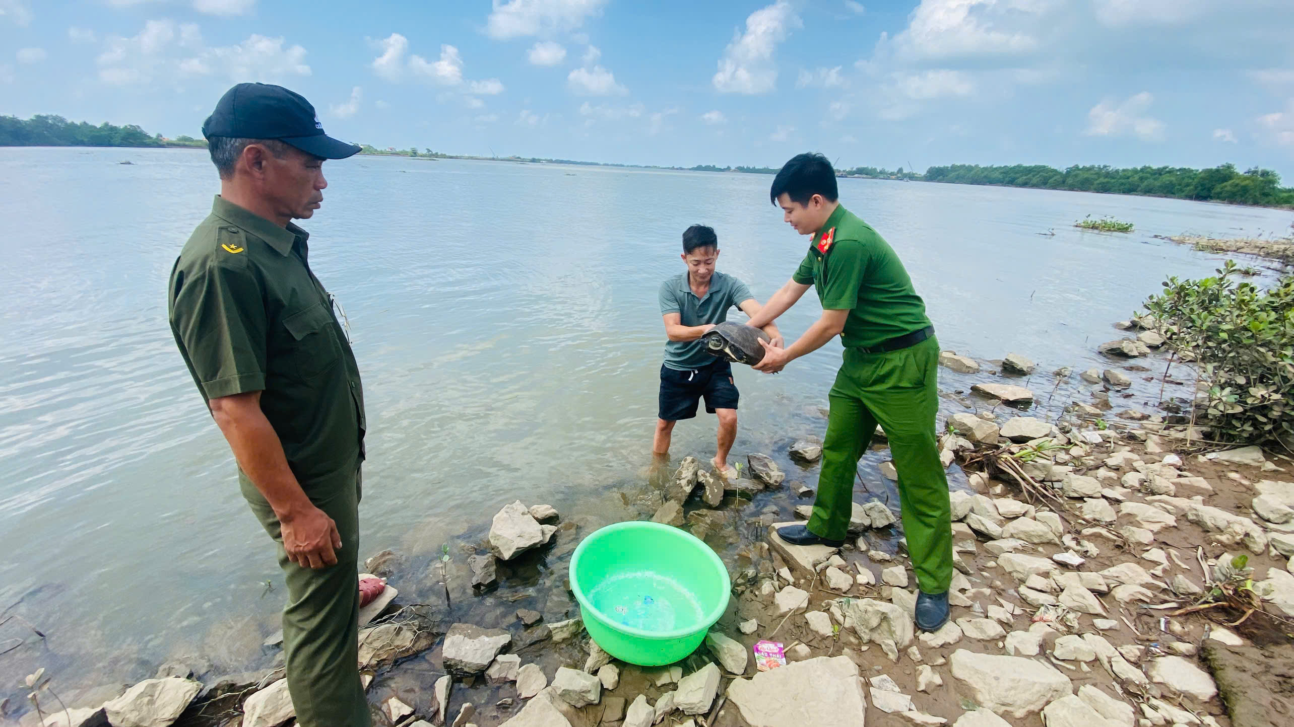 HÀNH ĐỘNG ĐẸP TRONG BẢO TỒN ĐA DẠNG SINH HỌC. TIẾP NHẬN VÀ BÀN GIAO CÁ THỂ RÙA RĂNG QUÝ HIẾM VỀ MÔI TRƯỜNG TỰ NHIÊN